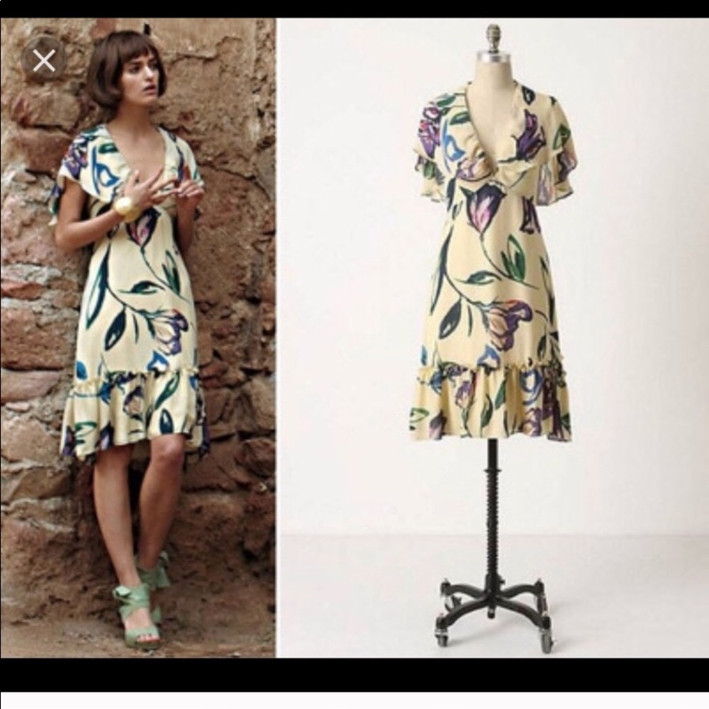 Anthropology dress